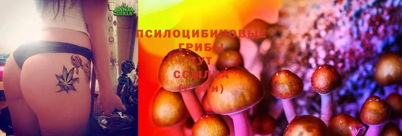 Галлюциногенные грибы Magic Shrooms  магазин    Красногорск 